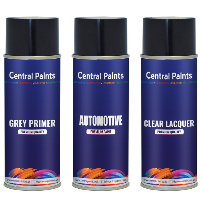 Central Paints Basecoat Aerosol & Lacquer & Primer Kit To Registration Number