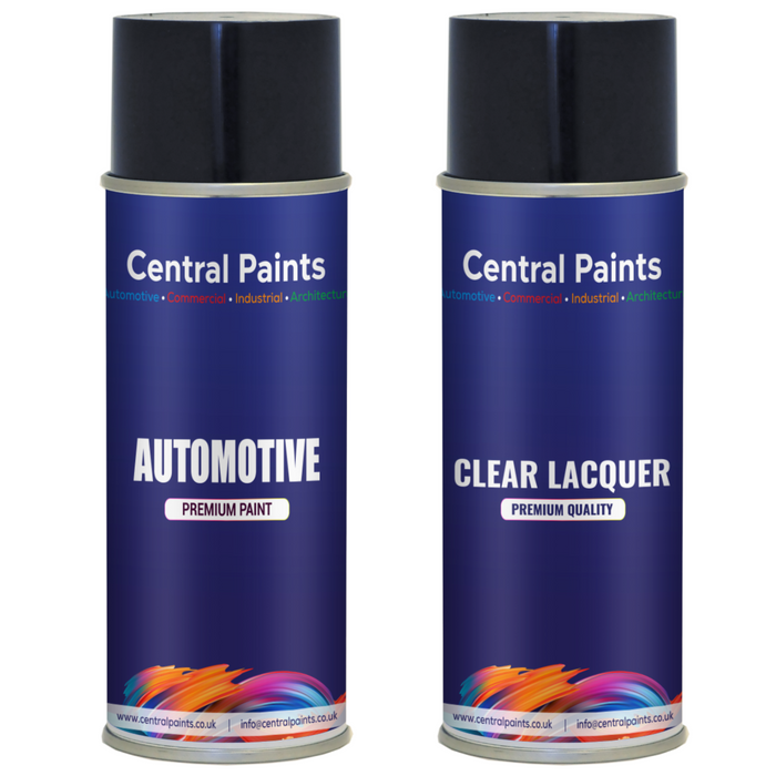 Central Paints Basecoat Aerosol & Lacquer Kit To Registration Number