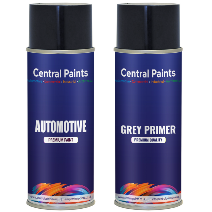 Central Paints Basecoat Aerosol & Primer Kit To Registration Number